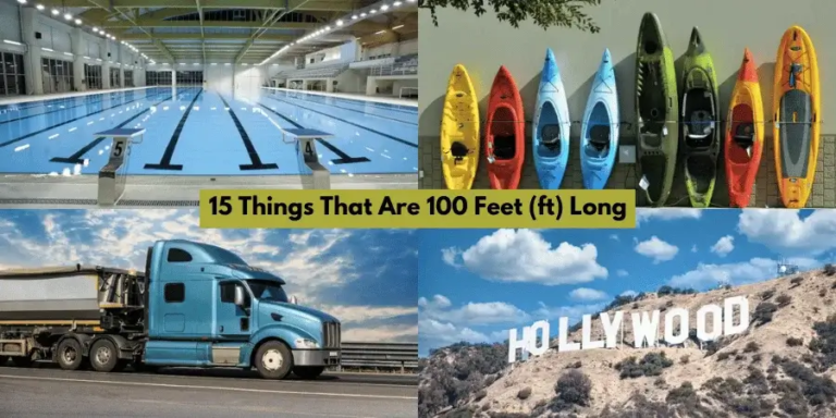 15 Things That Are 100 Feet (ft) In Length