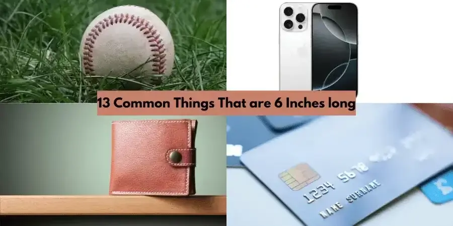 13 Common Things That Are 6 Inches Long pic
