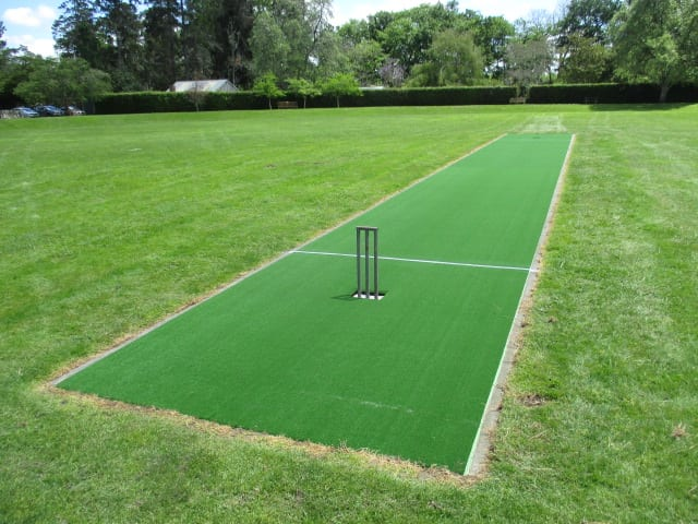 cricket pitche 100 feet