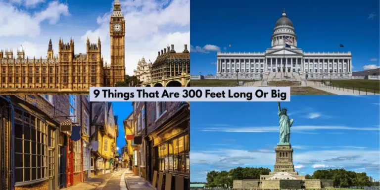 9 Things That Are 300 Feet Long Or Big