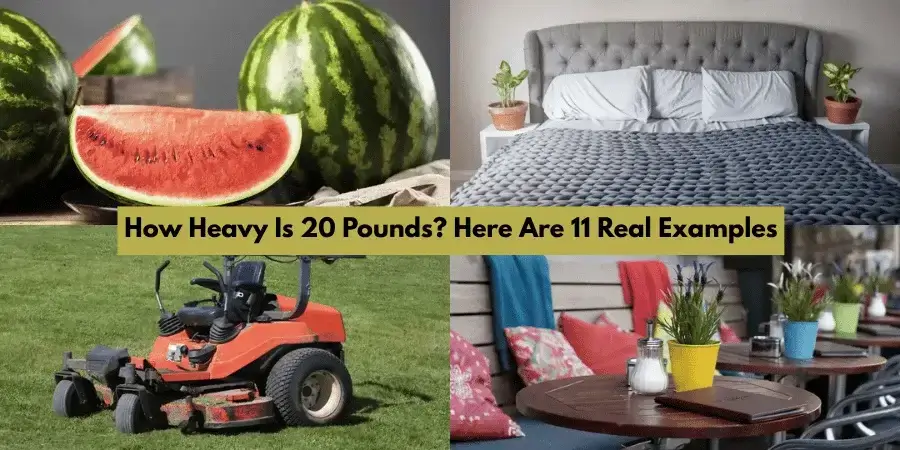 11 Everyday Objects That Weight 20 Pounds