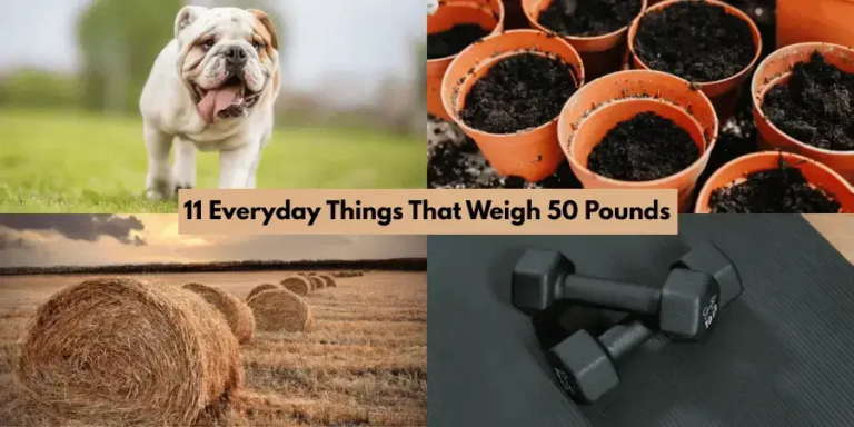 11 Everyday Things That Weigh 50 Pounds pic