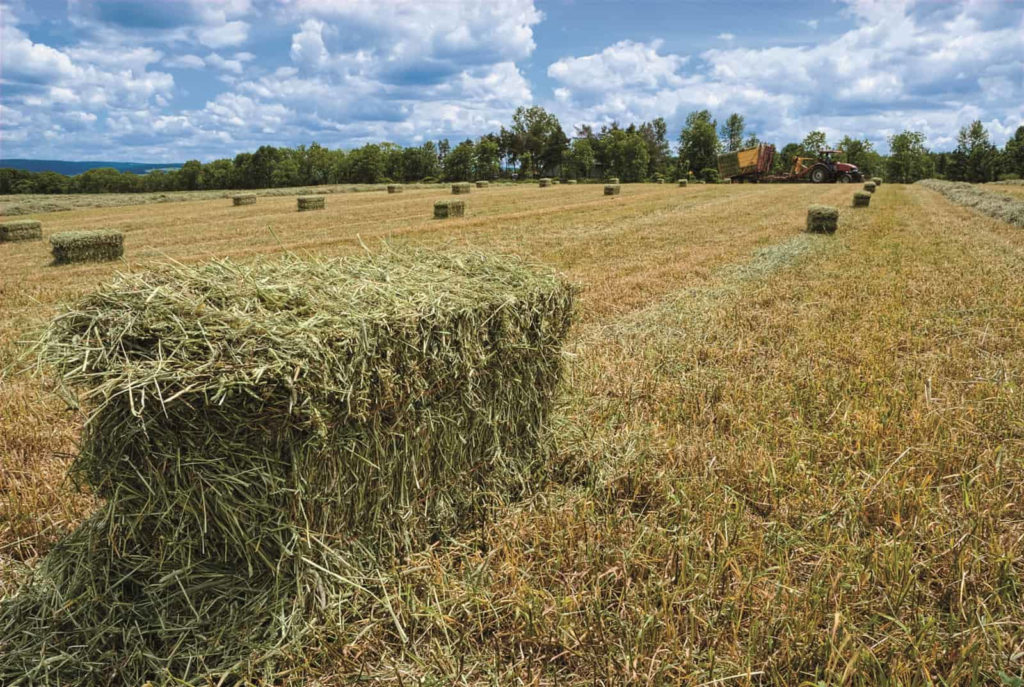 A Small Bale of Hay