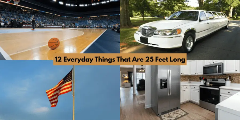 12 Everyday Things That Are 25 Feet Long