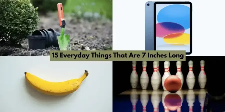 14 Common Things That Are 7 Inches Long