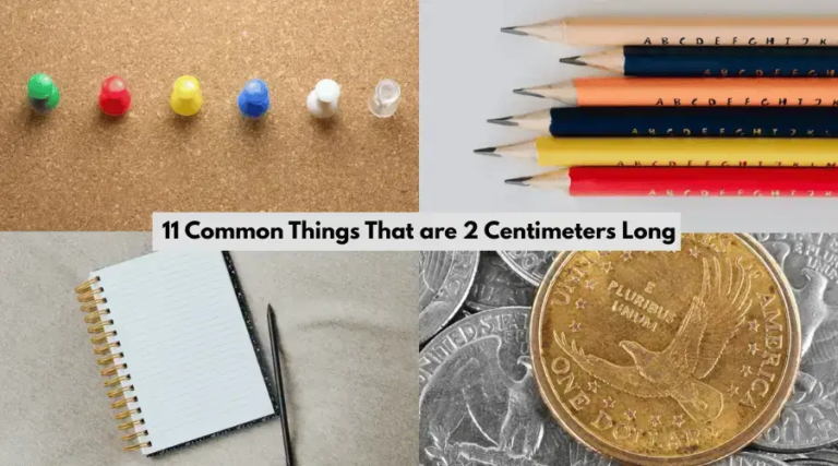12 Common Things That Are 2 Centimeters Long