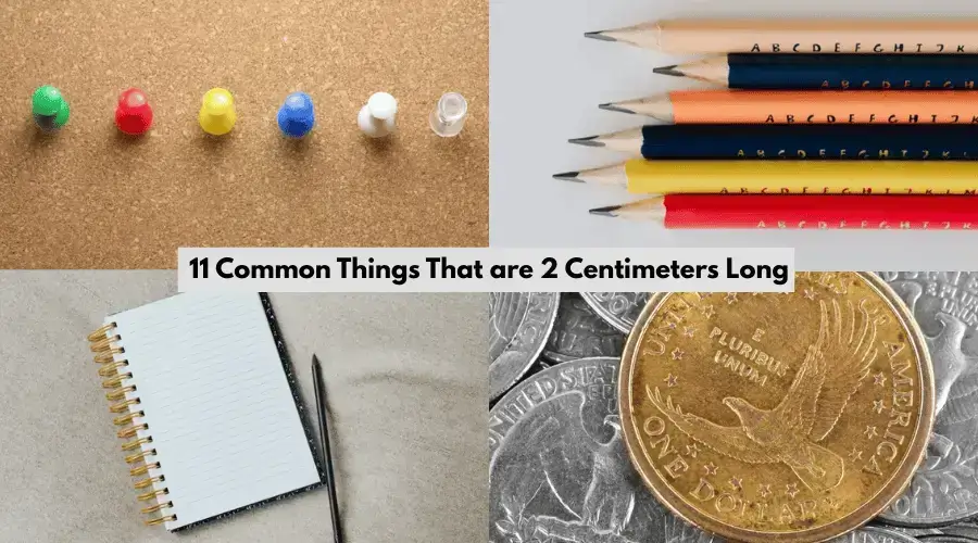 12 Common Things That Are 2 Centimeters Long