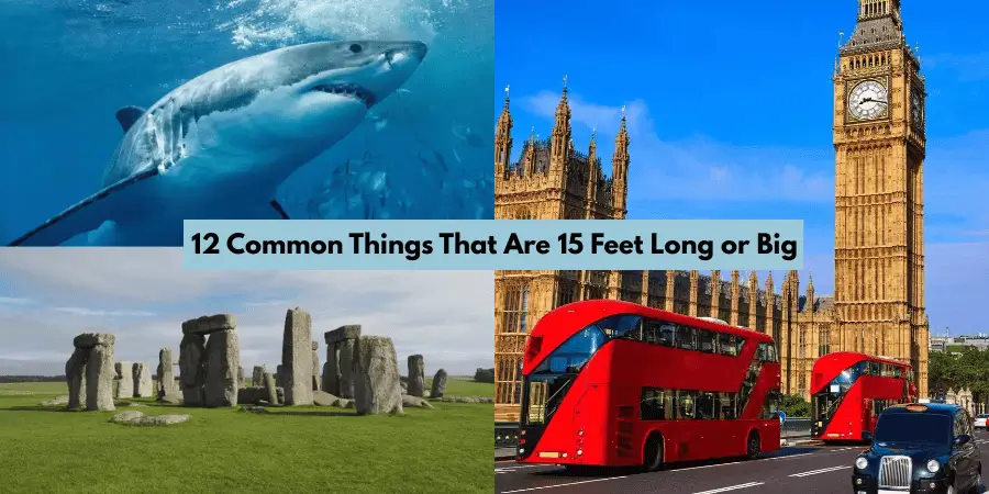 12 Common Things That Are 15 Feet Long or Big