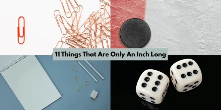 11 Common Things That Are 1 Inch Long