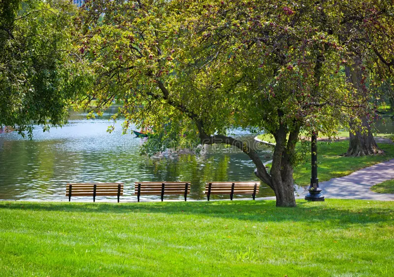 Three Park Benches 15 feet