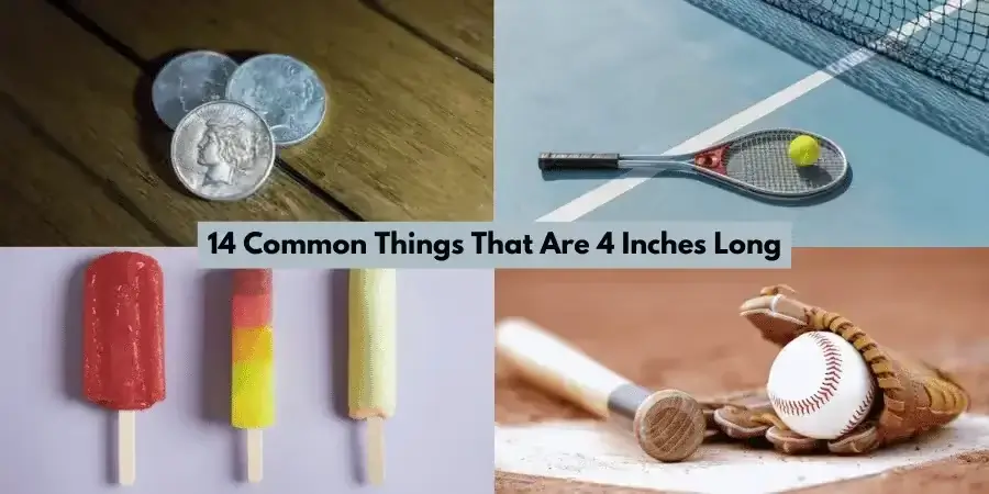 14 Common Things That Are 4 Inches Long pic