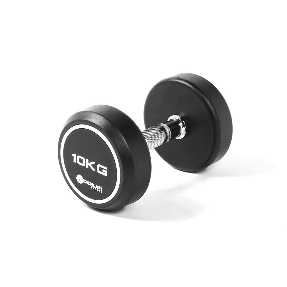  Ten Kilogram dumbbell