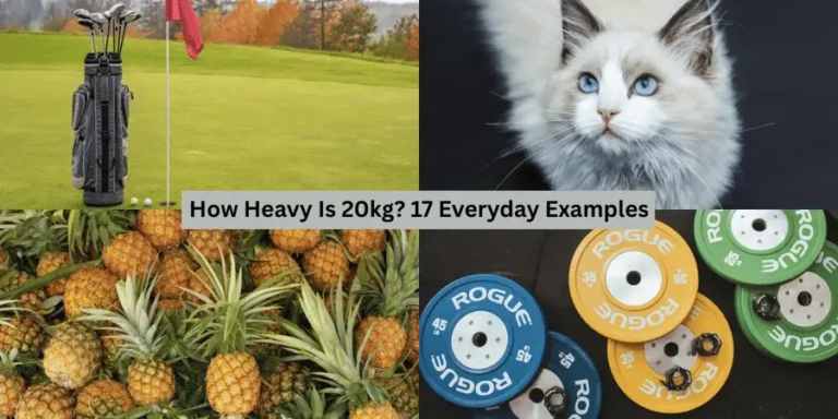 17 Everyday Things That Weigh 20 Kg