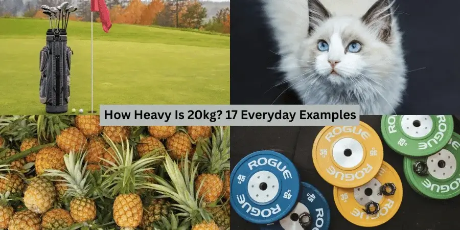 17 Everyday Things That Weigh 20 Kg