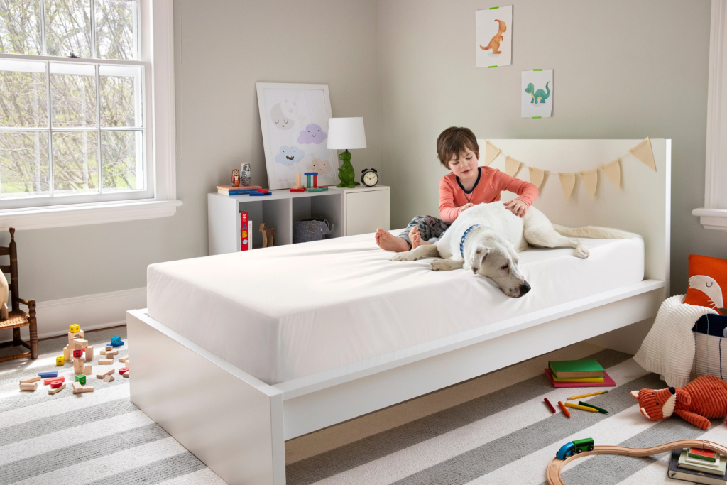 A Twin-Size Mattress 20 kg