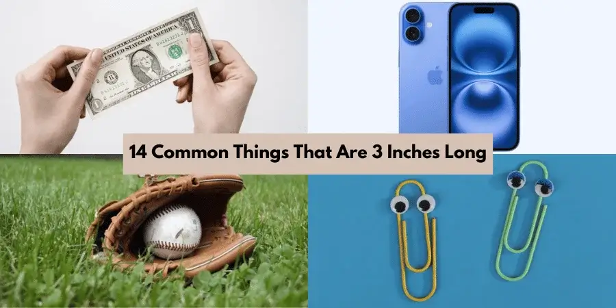 14 Common Things That Are 3 Inches Long