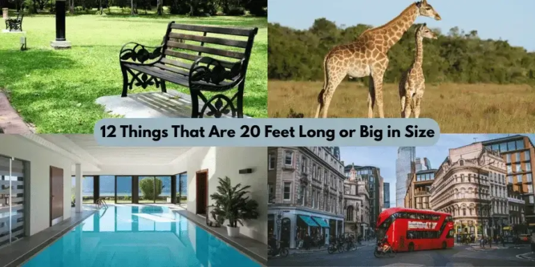 things that are 20 feet