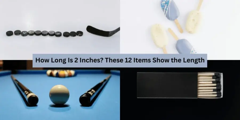 12 Common Things That Are 2 Inches Long