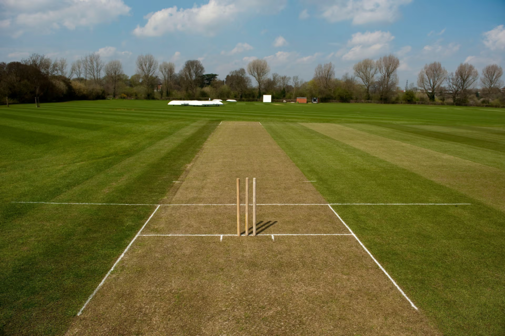 Half of the Cricket Pitch