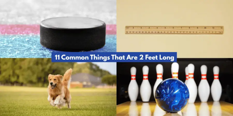 11 Common Things That Are 2 Feet Long